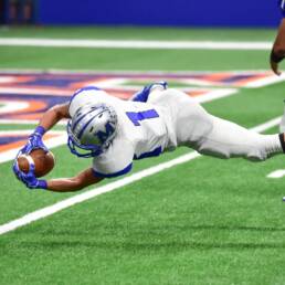 Twistechnology for artificial turf image